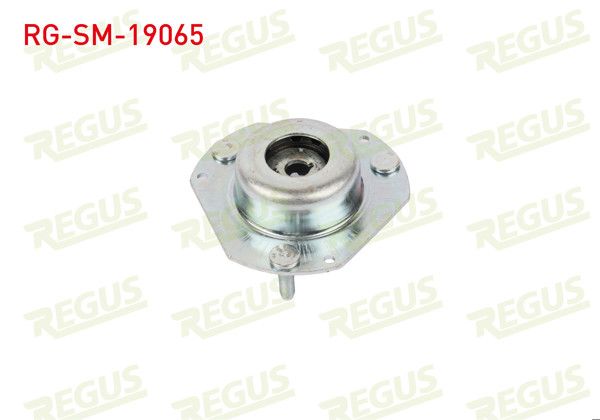 REGUS RG-SM-19065 | Amortisör Takozu Ön Fiesta 2012-2017