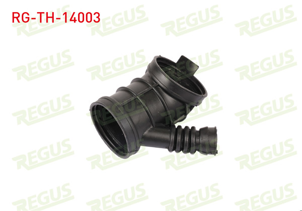 REGUS RG-TH-14003 | Turbo Hortumu Arka BMW 3 Serisi (E46) 320 İ-323 İ-325 İ-328 İ 1998-2005 / 5 Serisi (E39) 520 İ 1995-2003