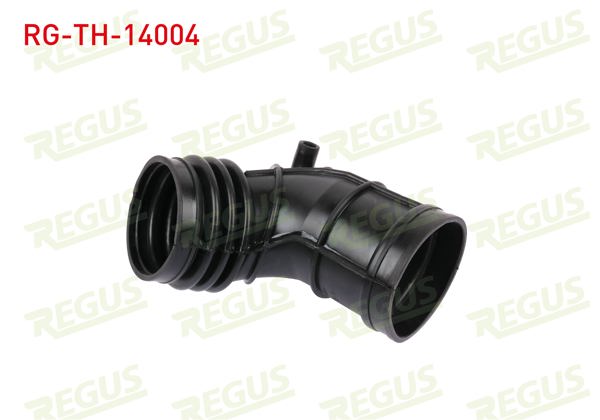 REGUS RG-TH-14004 | Turbo Hortumu On BMW 3 Serisi (E46) 320 İ-323 İ-325 İ-328 İ 1998-2005