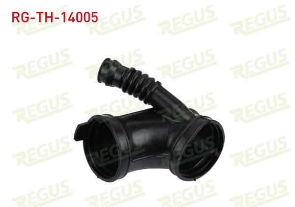 REGUS RG-TH-14005 | Turbo Hortumu BMW X5 (E53) 3.0İ 2000-2007