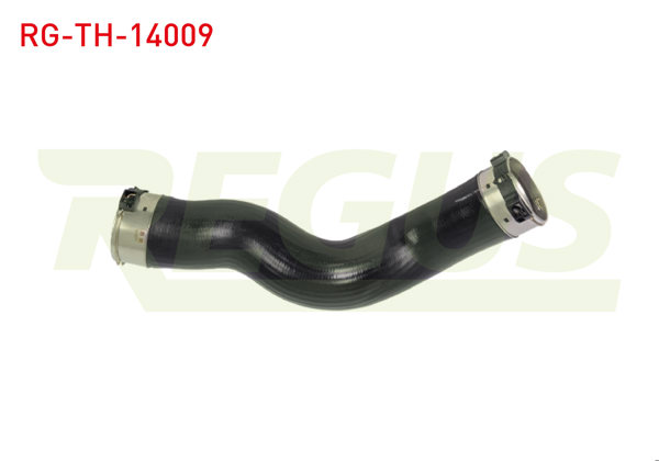 REGUS RG-TH-14009 | Turbo Hortumu BMW 1 Serisi (F20,F21) 120 D 2010 -