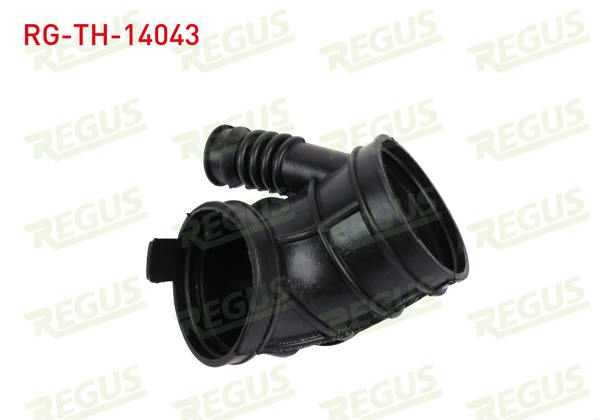 REGUS RG-TH-14043 | Turbo Hortumu BMW 3 Serisi (E46) 330 İ-330 Xi 2000-2005