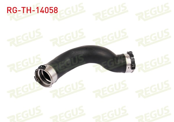 REGUS RG-TH-14058 | Turbo Hortumu BMW 1 Serisi (F20)