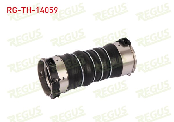 REGUS RG-TH-14059 | Turbo Hortumu BMW 5 Serisi (F10)