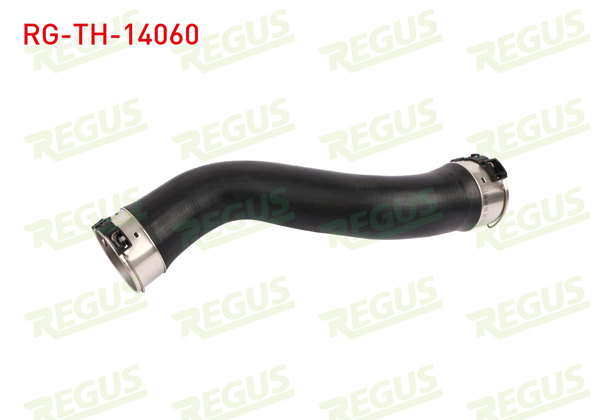 REGUS RG-TH-14060 | Turbo Hortumu BMW 1 Serisi (F20)