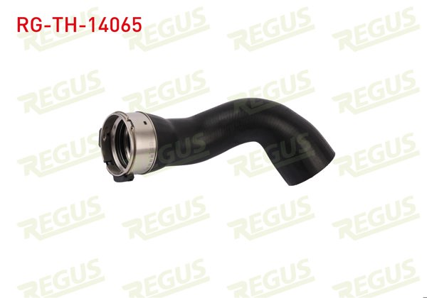 REGUS RG-TH-14065 | Turbo Hortumu BMW 1 Serisi (F20) / 3 Serisi (F30)