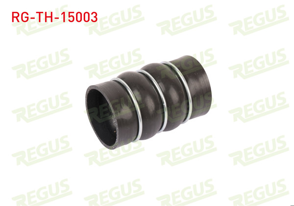 REGUS RG-TH-15003 | Turbo Hortumu Citroen Berlingo 1.6 HDI 2008 -