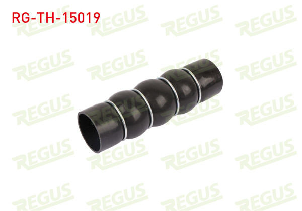 REGUS RG-TH-15019 | Turbo Hortumu Citroen C4 (B7) 1.6 HDI 2009 -