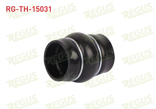 REGUS RG-TH-15031 | Turbo Hortumu Citroen C2 (Jm) 1.6 HDI 2003-2009