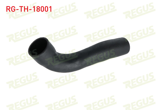 REGUS RG-TH-18001 | Turbo Hortumu Fiat Ducato (250) 2.2 Mjt 2006-2014