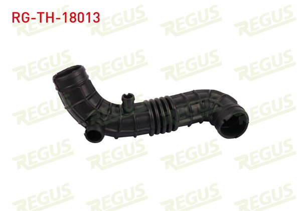 REGUS RG-TH-18013 | Turbo Hortumu Fiat Doblo (119,223) 1.9 JTD 2001-2010