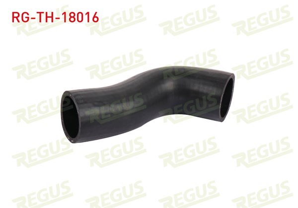 REGUS RG-TH-18016 | Turbo Hortumu Fiat Doblo (152,263) 1.3 Mjt 2010 -