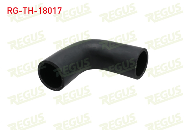 REGUS RG-TH-18017 | Turbo Hortumu Fiat Doblo (152,263) 1.6 Mjt 2010 -