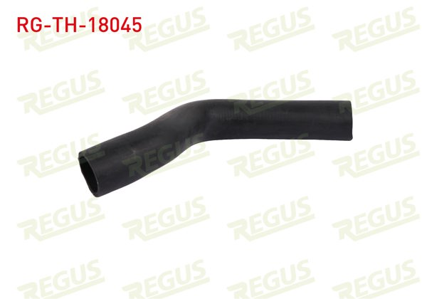 REGUS RG-TH-18045 | Turbo Hortumu Fiat Linea (323) 1.3 Mjt 2007 -