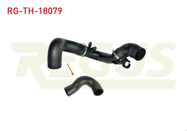 REGUS RG-TH-18079 | Turbo Hortumu Fiat Ducato (250) 2.2 Mjt 2006-2014