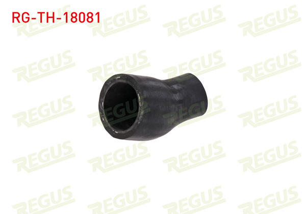 REGUS RG-TH-18081 | Turbo Hortumu Fiat Ducato (250) 2.2 Mjt 2006-2014