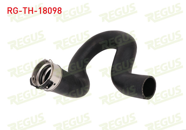 REGUS RG-TH-18098 | Turbo Hortumu Egea 1.6 Mtj