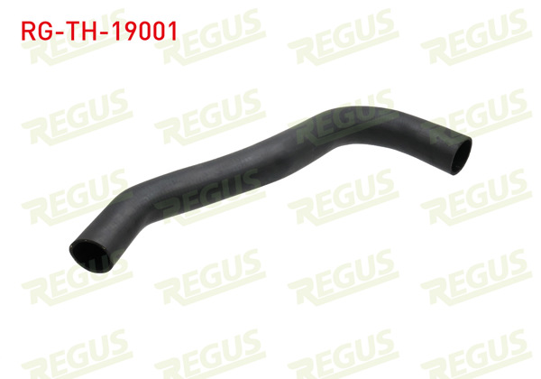 REGUS RG-TH-19001 | Turbo Hortumu Ford Transit (V184) 2.4 TDCI 2000-2006