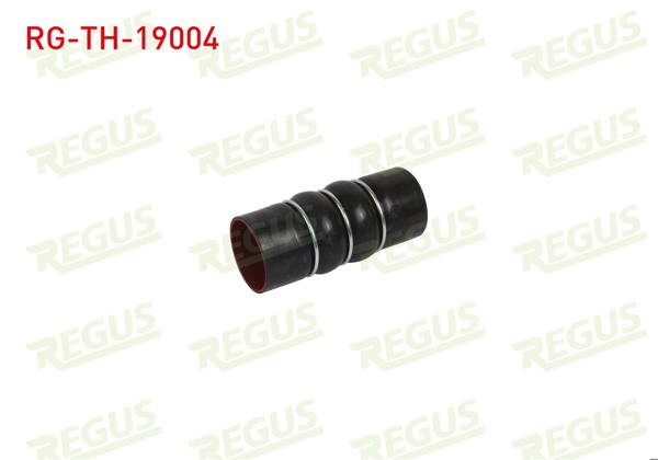 REGUS RG-TH-19004 | Turbo Hortumu Ford Transit Connect 1.8 TDCI 2002-2014