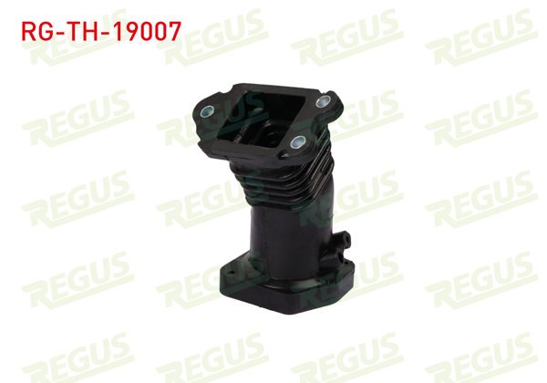 REGUS RG-TH-19007 | Emme Manifold Hava Hortumu 110 Ps Ford Focus II (Da) 1.6 TDCI 2004-2011