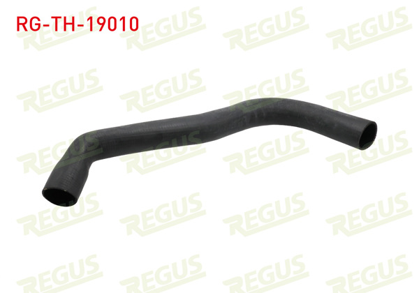 REGUS RG-TH-19010 | Turbo Hortumu Ford Transit (V184) 2.4 TDCI 2000-2006
