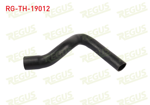 REGUS RG-TH-19012 | Turbo Hortumu Ford Focus II (Da) 1.8 TDCI 2004-2011