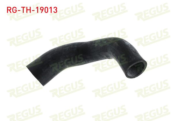 REGUS RG-TH-19013 | Turbo Hortumu On Ford Mondeo III 2.0 TDCI-2.2 TDCI 2000-2007