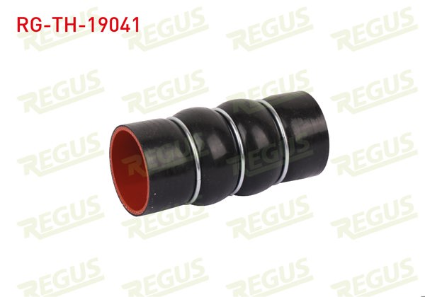 REGUS RG-TH-19041 | Turbo Hortumu Ford Fiesta IV 1.8 Dı 1996-2002