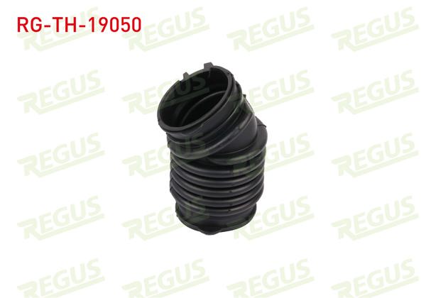 REGUS RG-TH-19050 | Turbo Hortumu Ford Focus II (Da) 1.8 TDCI 2004-2011