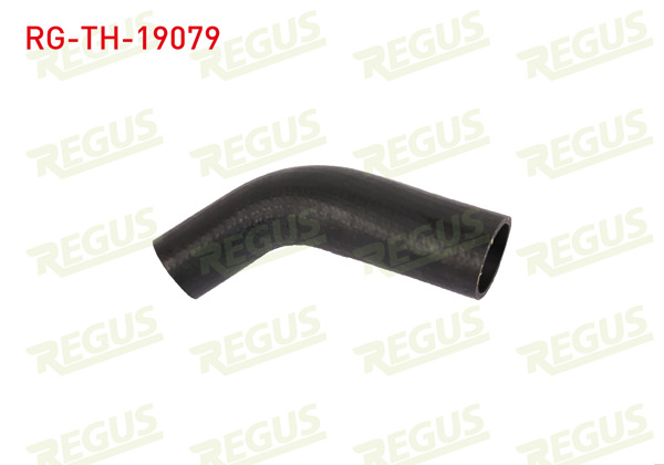 REGUS RG-TH-19079 | Turbo Hortumu Ford Transit Connect 1.8 TDCI 2002-2014