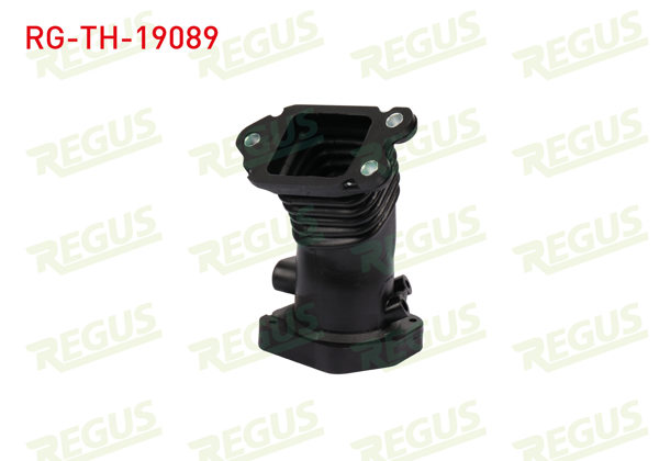 REGUS RG-TH-19089 | Turbo Hortumu Fiesta 1.6 TDCI 2004 -