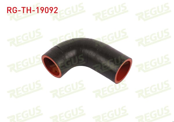REGUS RG-TH-19092 | Turbo Hortumu Mondeo 1.8 TDCI