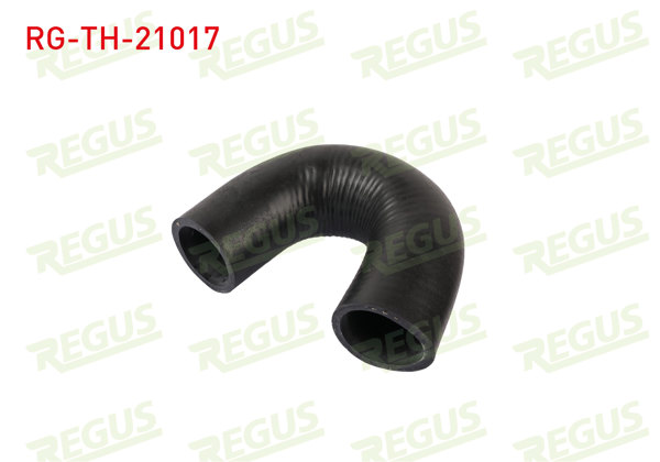 REGUS RG-TH-21017 | Turbo Hortumu Santa Fe 2.2 CRDI