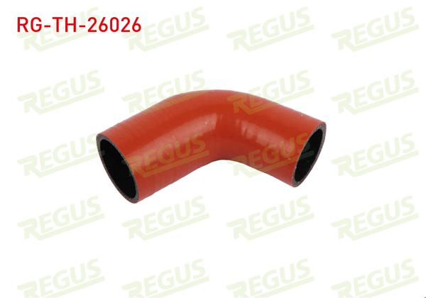 REGUS RG-TH-26026 | Turbo Hortumu Range Rover Evoque 2.2