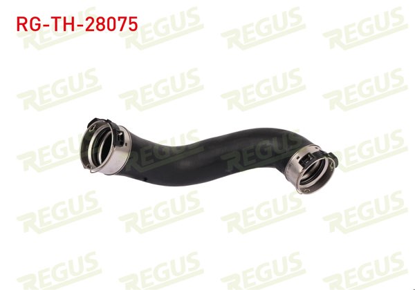 REGUS RG-TH-28075 | Turbo Hortumu Gle 350 / Ml 350 (W166)