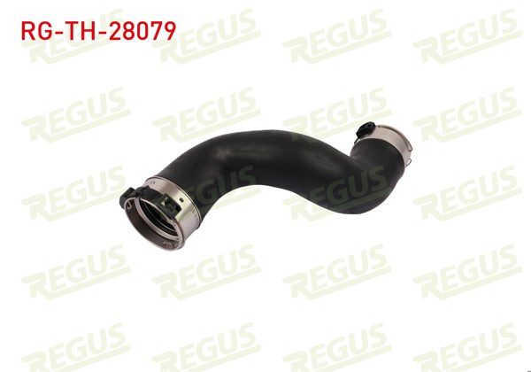 REGUS RG-TH-28079 | Turbo Hortumu Vito (W639) (W447)