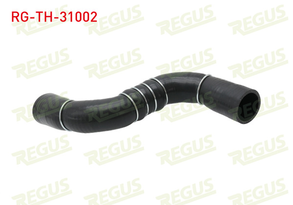 REGUS RG-TH-31002 | Turbo Hortumu Nissan Qashqai (J10) 1.5 DCI 2007-2014