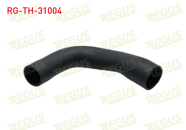 REGUS RG-TH-31004 | Turbo Hortumu Nissan Qashqai (J10) 1.5 DCI 2007-2014