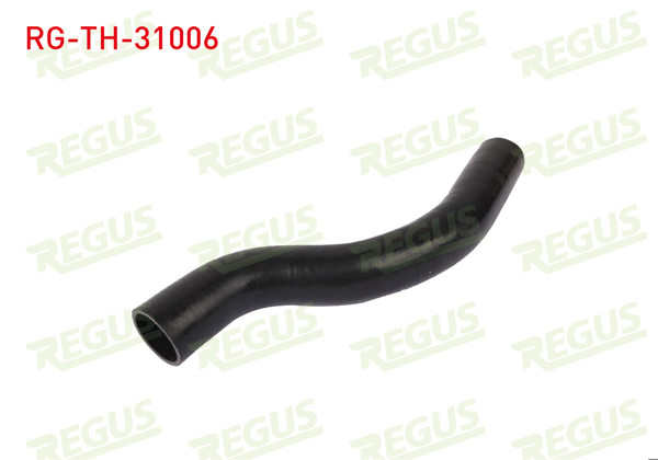 REGUS RG-TH-31006 | Turbo Hortumu Nissan Juke 1.5 DCI 2010 -