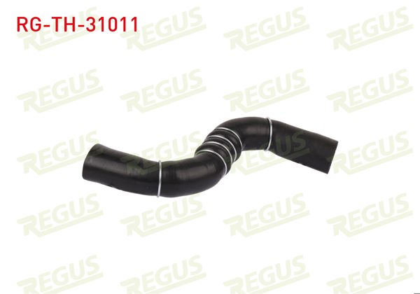REGUS RG-TH-31011 | Turbo Hortumu Nissan Qashqai (J10) 1.5 DCI 2007-2014