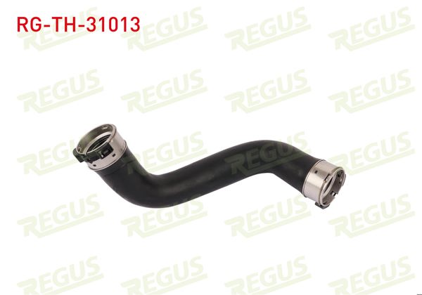 REGUS RG-TH-31013 | Turbo Hortumu Nissan Qashqai + 2 (J10) 1.6 DCI 2007-2014