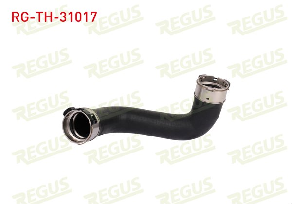 REGUS RG-TH-31017 | Turbo Hortumu Nissan Pathfinder (R51) 2.5 DCI 2005 -