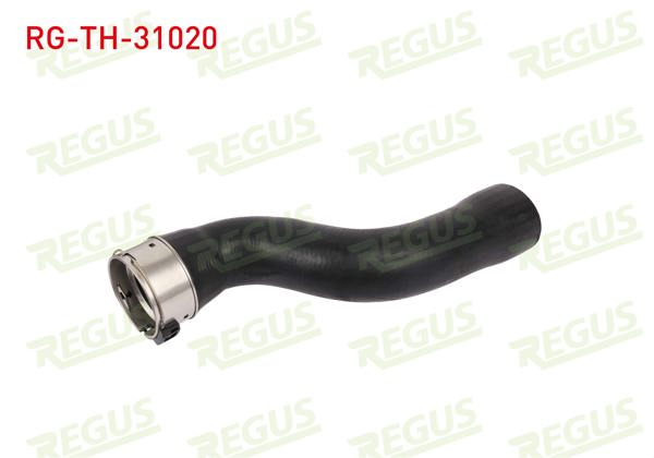 REGUS RG-TH-31020 | Turbo Hortumu Juke 1.5 DCI