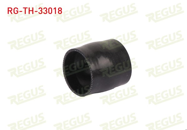 REGUS RG-TH-33018 | Turbo Hortumu Peugeot 307 (3A / C) 1.6 HDI 2000-2007