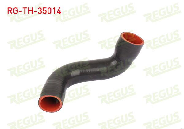 REGUS RG-TH-35014 | Turbo Hortumu Renault Megane II (Bm0 / 1,Cm0 / 1) 1.5 DCI 2002-2008