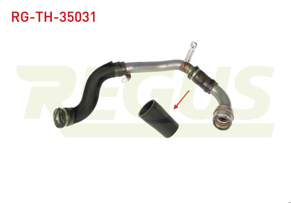 REGUS RG-TH-35031 | Turbo Hortumu Renault Fluence (L30) 1.5 DCI 2010-2012