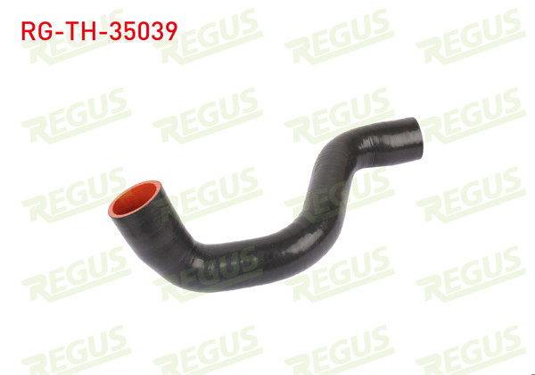 REGUS RG-TH-35039 | Turbo Hortumu Metal Borusuz Renault Grand Scenic II (Jm0 / 1_) 1.5 DCI 2004-2009
