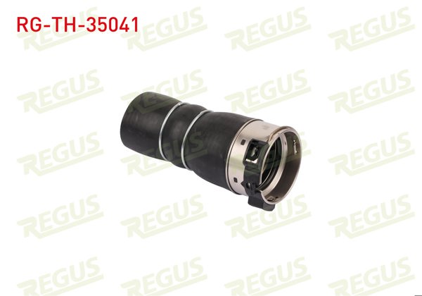 REGUS RG-TH-35041 | Turbo Hortumu Metal Borusuz Küçük Renault Fluence (L30) 1.5 DCI 2009 -