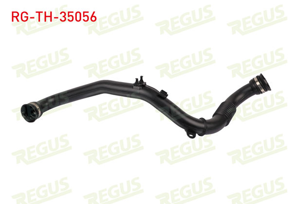 REGUS RG-TH-35056 | Turbo Hortumu Laguna II / Traffic II / Megane II 1.9 DCI