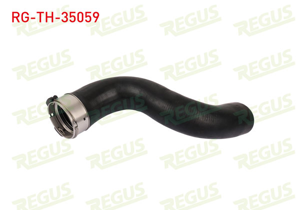REGUS RG-TH-35059 | Turbo Hortumu Megane III / Scenic 1.9 DCI